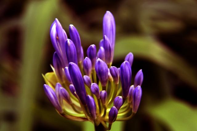 小细节